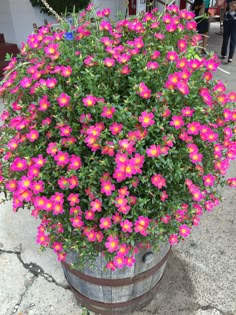 pink flowers are blooming in a wooden barrel