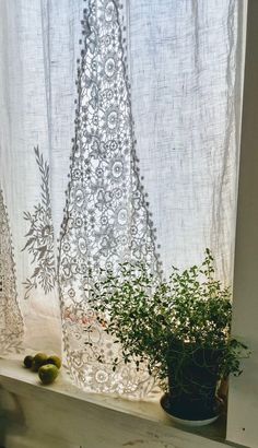 a potted plant sitting on top of a window sill next to a curtain