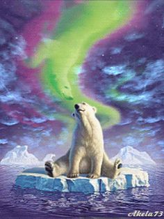 a polar bear sitting on top of an ice floet with the aurora bore in the background