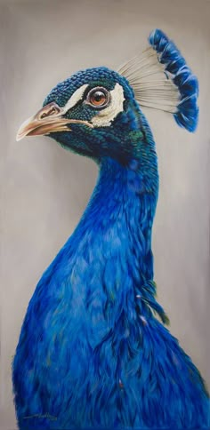 a painting of a blue bird with feathers on it's head and neck, standing in front of a gray background