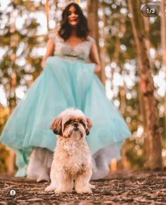 a woman in a blue dress is standing next to a small brown and white dog