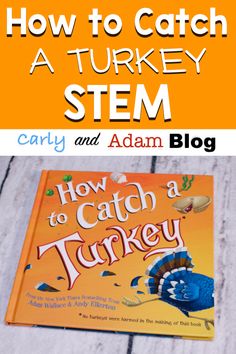 Turkey Trap, Kindergarten Stem, Elementary Stem Activities