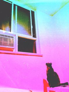 a black cat sitting on top of a window sill in front of a pink wall