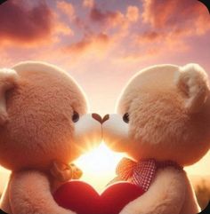 two teddy bears touching noses with the sun setting in the back ground behind them,