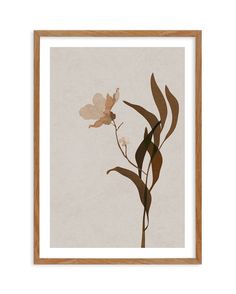 an art print with flowers and leaves in brown, beige and tan colors on a white background