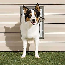 a dog standing in front of a house with its mouth open