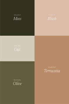 Apartment Decor Color Palettes, Earthy Color Palate, Olive Terracotta Color Palette Wedding, Earthy Natural Color Palette, Olive Blush Color Palette, Olive And Blush Color Palette, Terracotta And Black Color Palette, Earthy House Color Schemes, Taracotta Color Pallets