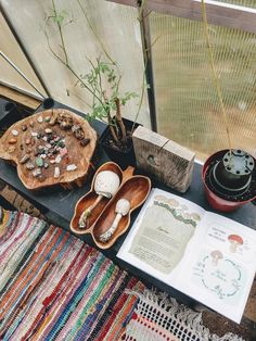 an open book sitting on top of a table next to some plants and other items