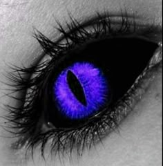 an eye with bright blue eyeshade