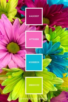 colorful flowers are arranged in the same color scheme