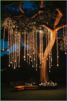 Wedding Dark Forest, Magical Themed Wedding, Light Decor For Wedding, Lighting Decor For Wedding, Enchanted Forest Theme Restaurant, Tree Decoration For Wedding, Evening Wedding Lighting, Night Backyard Wedding, Tree Decor For Wedding