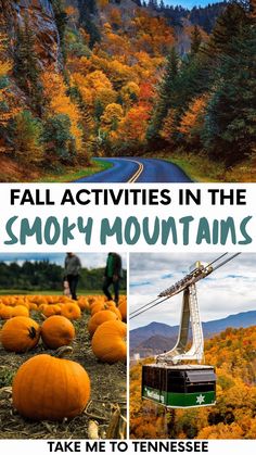 fall activities in the smoky mountains