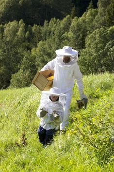 two people in bee suits walking through the grass