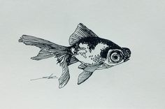 a black and white drawing of a fish