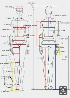 an image of a woman's body and measurements for the back, front and side views