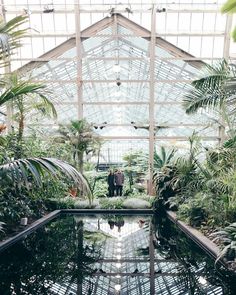 a man standing in the middle of a greenhouse filled with lots of trees and plants