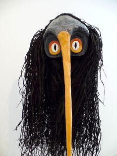 an odd looking bird with long black hair and orange eyes on it's head