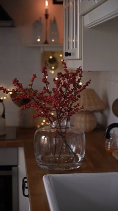 a vase filled with red flowers on top of a kitchen counter