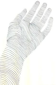 a drawing of a hand with lines on it