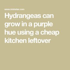 the words hydrogens can grow in a purple hue using a cheap kitchen leftover