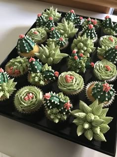 cupcakes decorated with green frosting and cactus decorations on a black tray, ready to be eaten