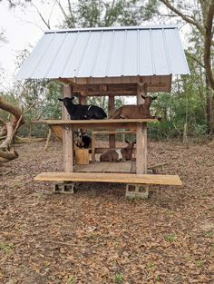 there are many animals that are in this small structure on the dirt floored area