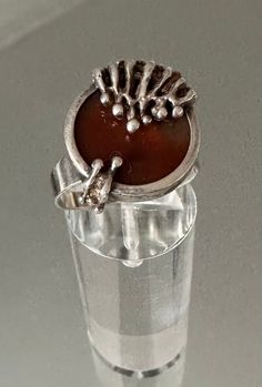 a silver ring sitting on top of a glass filled with water and corals in it