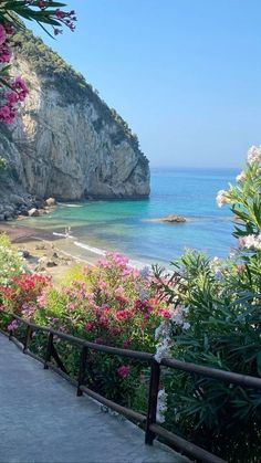 flowers line the walkway leading to an ocean side beach with cliffs in the background and blue water