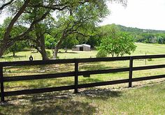 a fenced in area with trees and grass