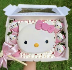 a hello kitty cake in a box on the grass