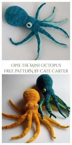 an octopus is crocheted in blue and orange with the caption opie the mini octopus free pattern by cate cartier