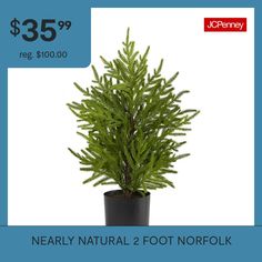 a potted plant with the words nearly natural foot norfolk $ 35 99 reg $ 100 00