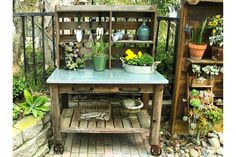 a potted plant sitting on top of a wooden table next to a garden shed