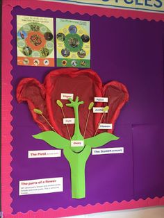 a bulletin board with flowers and pictures on it