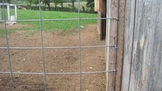 a dog is standing in the dirt behind a fence