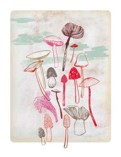 a card with an image of mushrooms on the front and bottom, in red ink