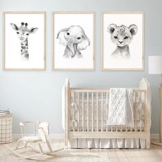 three framed pictures of animals in a baby's room