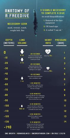 an info sheet with the names and numbers for different types of boats in the water