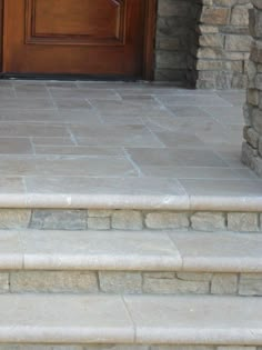 a dog is sitting on the steps in front of a door