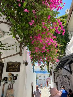 a man walking down a street next to a tree with pink flowers hanging from it