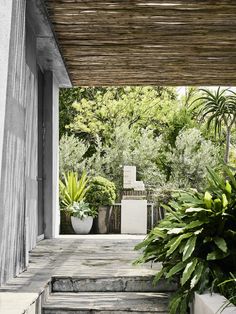 an outdoor area with plants and stairs