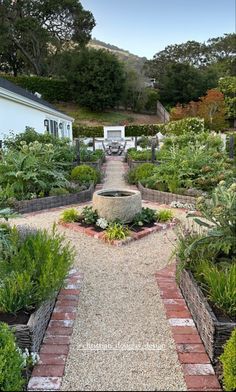 an outdoor garden with lots of plants and gravel path leading to a white house in the background