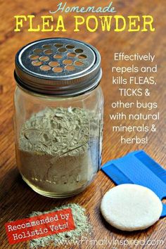 homemade flea powder in a glass jar next to a wooden table with an image of a man and his dog