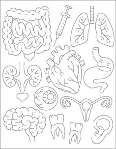 an outline drawing of the human heart and other medical related items in black and white