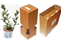 two cardboard boxes and a plant in a pot