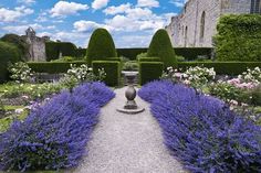 an image of a garden with purple flowers and bushes in the middle, surrounded by hedges