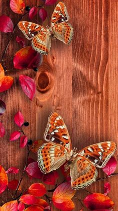 two butterflies sitting on top of a wooden table next to red and orange leaves,