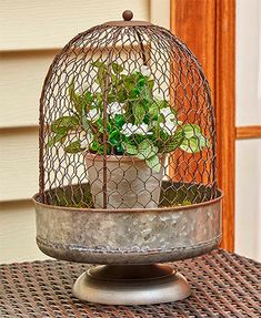 a potted plant in a metal birdcage on a table