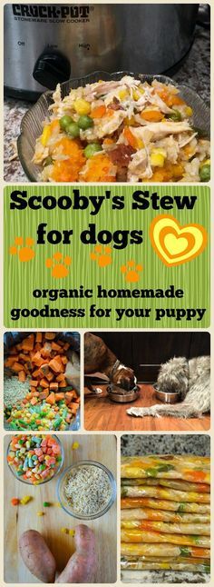 several pictures with different foods in them and the words scoopy's stew for dogs organic homemade goodness for your puppy