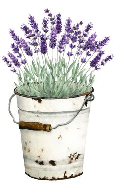 an old bucket with lavender flowers in it